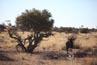 2010-11-06_Namibia_17-20-38_000025_IMG_3761.jpg