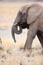 2010-11-15_Namibia_16-25-20_000065_IMG_4999.jpg