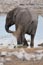 2010-11-16_Namibia_17-05-52_000108_A52D9237_Kopie.jpg