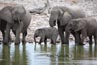 2010-11-16_Namibia_17-12-42_000179_IMG_5774.jpg